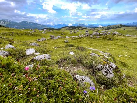 Vabljeni v svet pastirjev na Veliko planino (4)